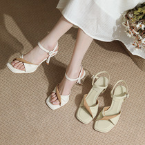 8188-7 Evening Gentle Breeze Cross Strap Open Toe High Heel Sandals Womens Stiletto Heel Outer Wear Straight Buckle Strap Summer Fashion