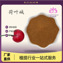 Nuciferine 4% Lotus Leaf Extract Lotus Leaf Extract Water Soluble Lotus Leaf Powder Ready in Stock Factory Direct Supply