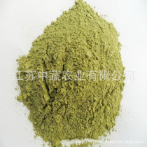 Supply lotus leaf powder 100-120 mesh 1000g