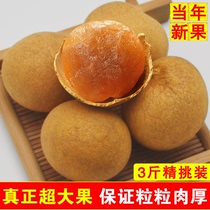 (Special selection grade) Extra large 3 pounds special grade dried longan extra large fruit Gaozhou shelled dried longan new product non-seedless