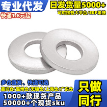 √304 Disc Washer (DIN6796)
