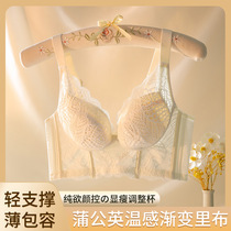 Factory direct sales new style big breasts showing small bra with discolored lining thin cup padded bra without rims