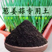 Douyin special soil for growing onions balcony growing vegetables universal vegetable planting soil nutritious soil potted chive soil