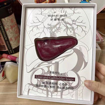 Liver and gallbladder soap creative skin care liver soap practical gift for girlfriend and boyfriend on Valentines Day