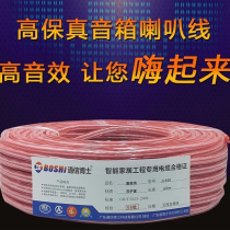 Professional pure copper audio cable oxygen-free copper-clad aluminum speaker cable fever-grade car surround cable home amplifier audio cable