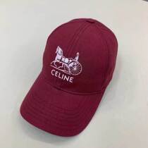 (Dingxing) 2024 new autumn and winter celebrity fashion wear recommended hats