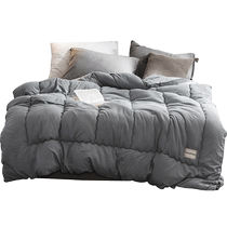 Nordic simple winter quilt warm winter quilt core student dormitory quilt air-conditioned quilt double single spring and autumn quilt