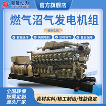 1000KW biogas generator set 1500kw LNG oil field associated gas 2000kW CNG natural gas generator