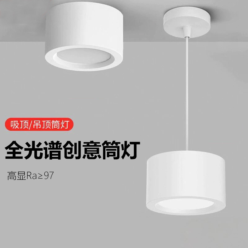 Surface-Mounted Downlight, No Drilling Required, Ceiling-Mounted for Living Room, Bedroom, Entrance, Background, Corridor, Aisle, Led Ceiling Light, Spotlight, Round Shape