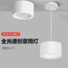 Surface-Mounted Downlight, No Drilling Required, Ceiling-Mounted for Living Room, Bedroom, Entrance, Background, Corridor, Aisle, Led Ceiling Light, Spotlight, Round Shape