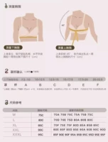 [Лепестки открываются спереди, поэтому рекомендуется использовать пряжку 𫔭 на один размер больше] [Свободная удлиняющая пряжка]