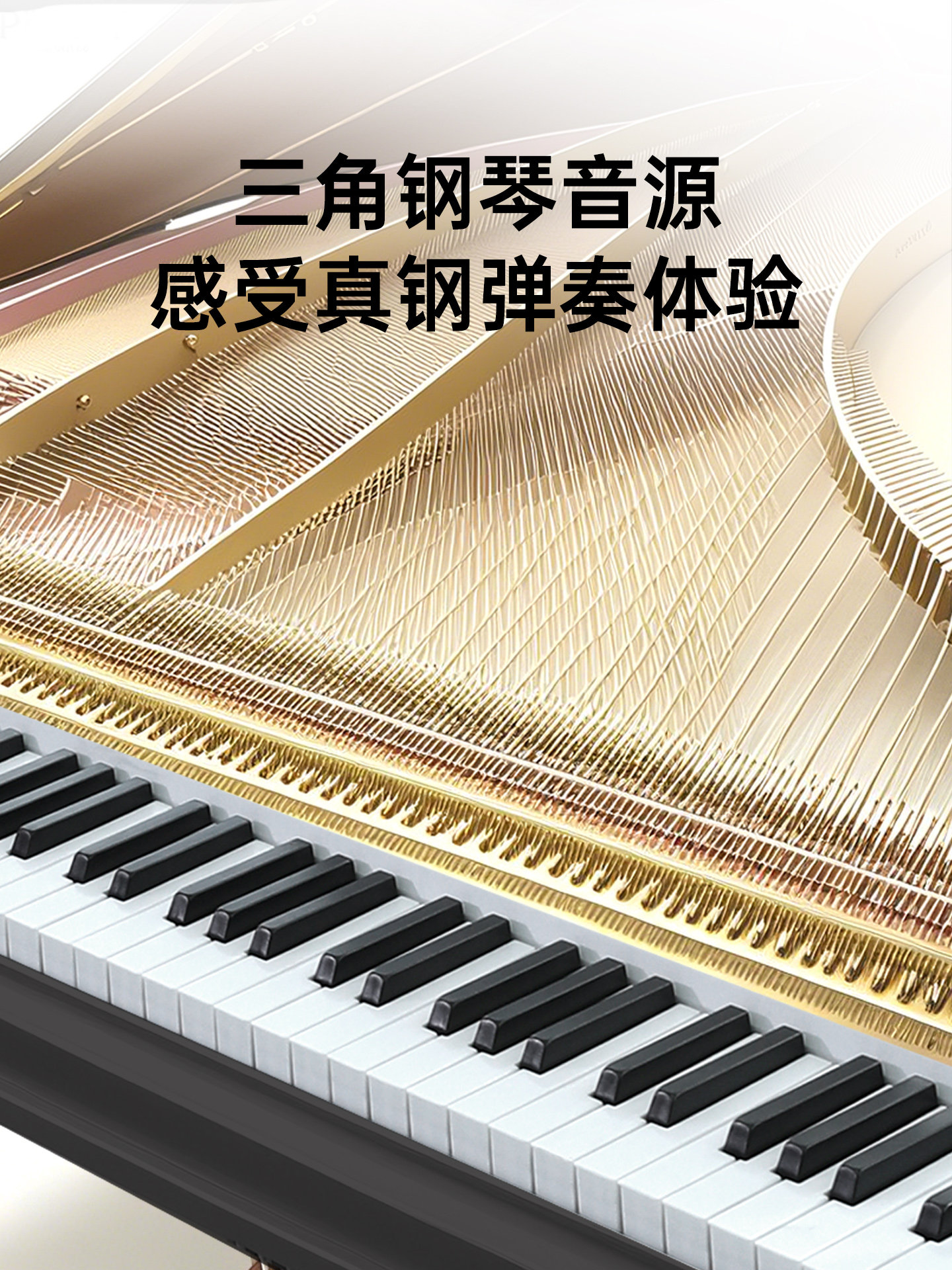Beidochen Foldableable Digital Keyboard 88-Key Electric Piano Portable Adult and Kidsren Practice Professional Piano Non-Hand-Rolled Piano