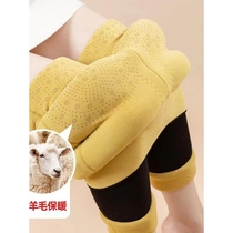 Scarecrow 2024 Winter Coldproof High Warm One-Pants Womens Thickened Velvet Leggings Autumn and Winter Outerwear Cotton