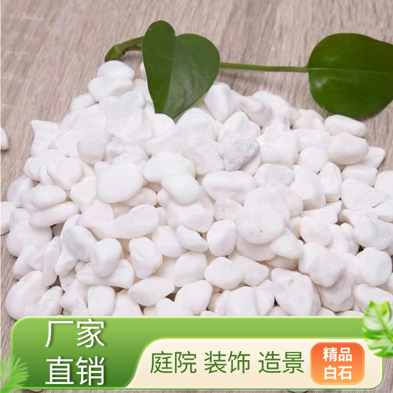 Natural White Pebbles Shipped from Guangdong, White Stone Particles for Courtyard Paving, Balcony Landscaping, and Landscape Gravel