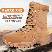 International Warden Tennis Brown Combat Male Training Boots Rescue Boots Rhubarb Boots Side Zip Training Mountaineering Shoes Desert Boots