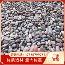 Chengdu pebbles river beach stone transformer station pebbles pebbles pebbles filter material river beach for river pebbles substation