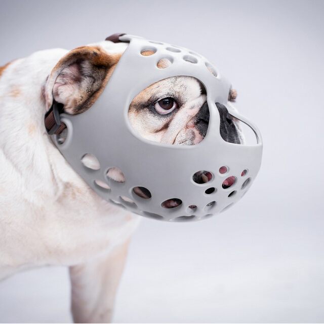 Dog anti-biting muzzle cross-border bulldog muzzle soft rubber short-mouthed dog fighting method pug to prevent random eating