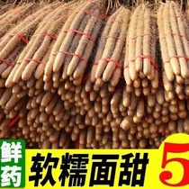 Iron rods yam Huaishan Henan Jiao Zuowen County iron rod yam Huaiyyam fresh yam net weight 5 catty