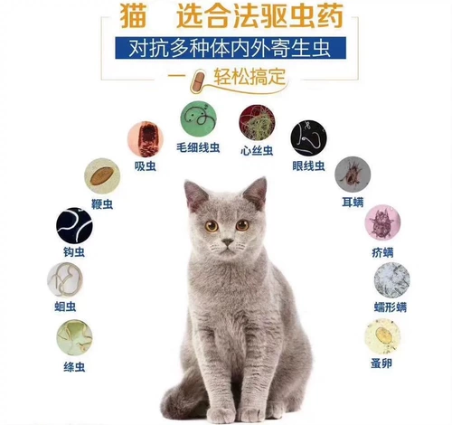 海乐妙 Медицина по девебляции кошек, Внутренняя медицина для взрослых котенка, отдельные таблетки для удаления вдоха, 10 миллиардов субсидий подлинного продукта