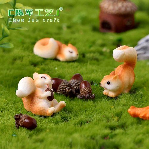 Образцы могут быть обработаны микро-пейзаж сочные украшения сада милый белка орех сосновая шишка дом кленовый лист смола