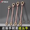 Fengweite Double-Headed Ratchet Wrench, Quick Dual-Purpose Plum Blossom-Shaped Two-Way Wrench Set, Universal 8-10-24mm High Hardness