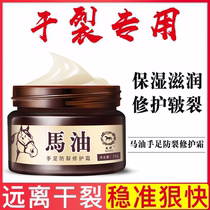 Horse oil anti-crack cream for dry cracked hands and feet moisturizing and repairing chilblains 30g manufacturers hand cream anti-freeze