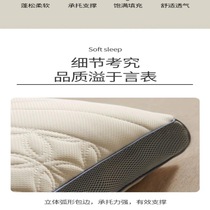 枕头枕芯一对装酒店家用护颈椎助睡眠枕芯单人宿舍学生枕头