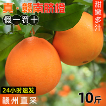 Jiangxi Ganang Nael Orange Fresh Fresh Orange 10 catty Ganzhou Origin Fresh Fresh Fresh Fresh Fresh