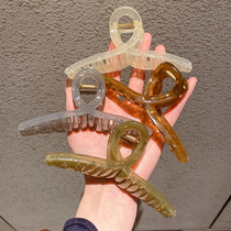 Medium jelly-colored shark clip on the back of the head feminine and elegant hair clip acrylic Korean style hair clip