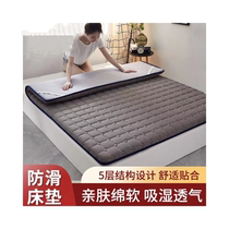 Matelas épaissi doux coussin maison matelas dortoir matelas étudiant location unique spécial tatami mer