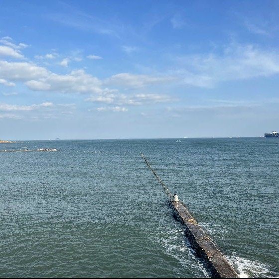 奔奔做物流
