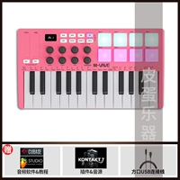SMK25-PINK+Supporting Software+Pedal/Bag+Yanyin Pedal+Bag+