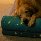 Домашние собаки супер большой диван, полный индийской звездной кровати, золотой мао ​​-края мапо сатсума собака спящая подушка