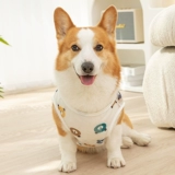 Солнцезащитный крем Корги Одежда летнее тонкое стиль