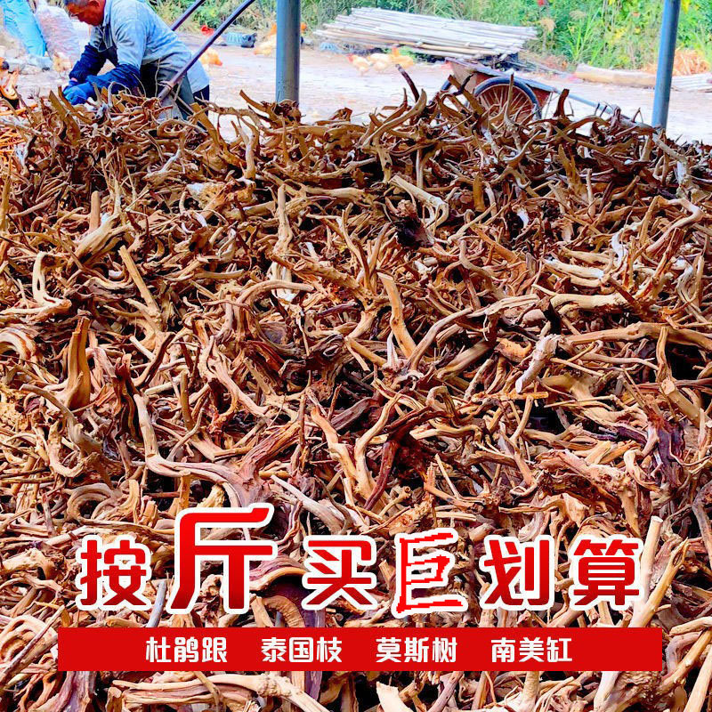 全屋定制缅甸柚木：环保无甲醛，打造天然家居新风尚！