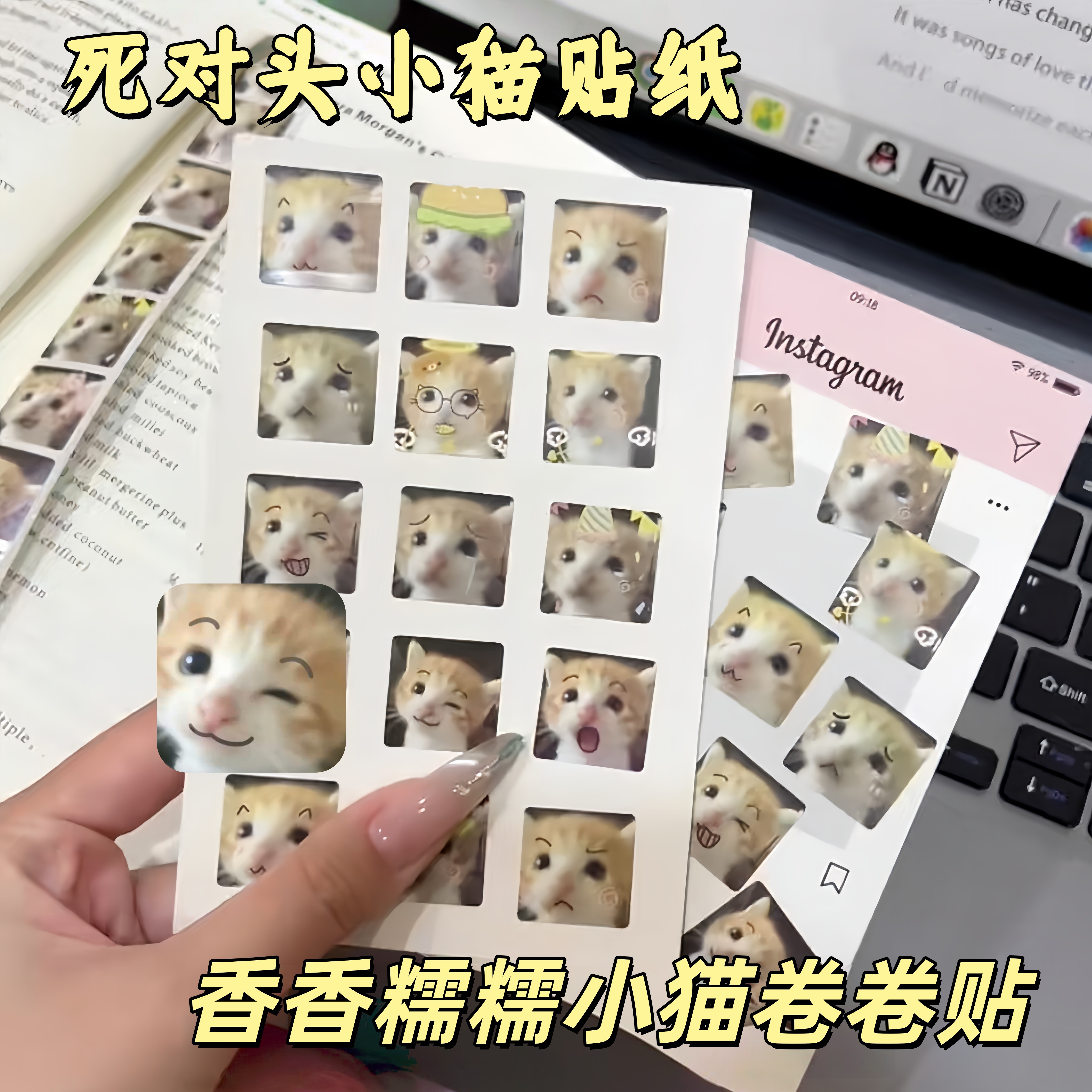 死对头小猫表情包贴纸萌宠卷卷贴800贴卡通猫meme办公室教室桌面