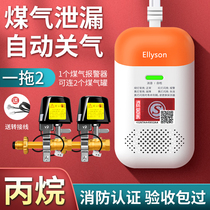 Gas alarm household kitchen gas leakage natural gas liquefied gas tank catering restaurant commercial combustible gas