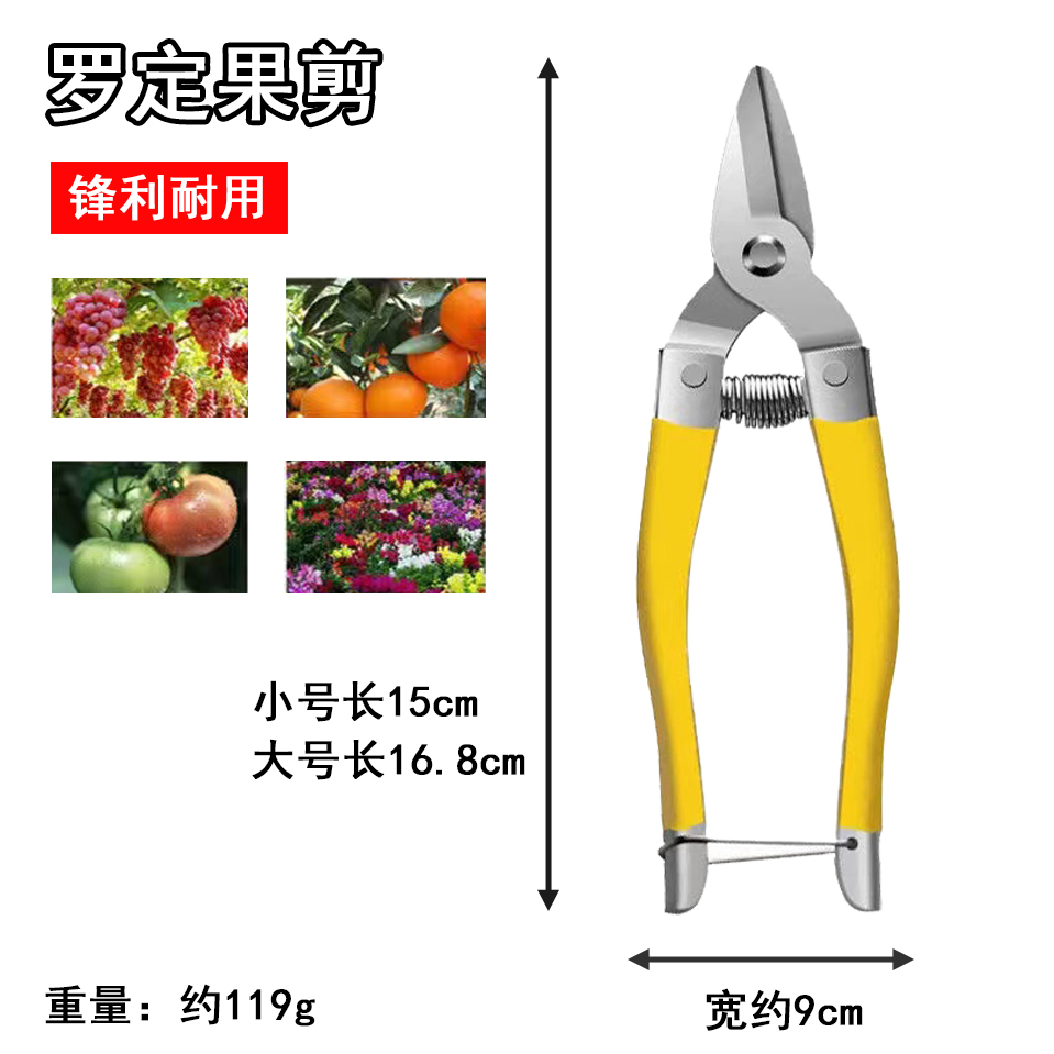 Rodine stainless steel fruit cut new pick fruit cut of citrus cut fruits and vegetables cut in fruits and vegetables cut in fruit scissors with round head fruit cut-Taobao