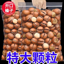 (Extra large particles) Open large hazelnut thin skin original Northeast large hazelnut specialty hand peeled nut dormitory snacks