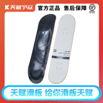 Professional Skateboard Professional Board Double Tedents Skateboard Portable Split Professional Children Teen Day Empowerment Crowdprofessional Skateboard