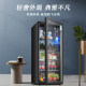 新飞232升冰吧家用小型冷藏柜办公室茶叶饮料红酒柜冰箱保鲜柜