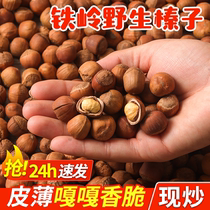 2023 Northeast Wild Tieling Specialty Hazelnuts Fried Original Flavor Hand-Packed Open Fresh Dried Fruits and Nuts Gift Box