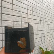 Acrylic transparent desktop small fish tank betta fish landscaping hair color turtle fish tank filter box plexiglass plastic box