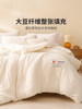 Miniso Soy Fiber Quilt Thickened Warm Cotton Quilt Core Suitable for All Seasons Winter Quilt Spring and Autumn Quilt 2025 New Model