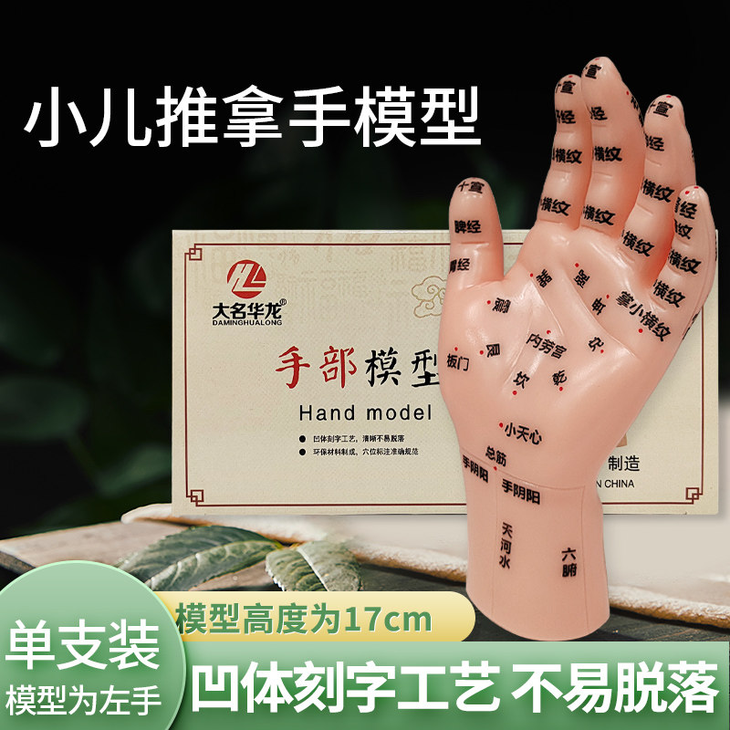 17厘米手部模型小儿推拿手模型按摩针炙手部经络穴位