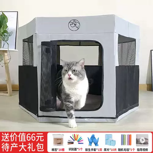 Кошачья комната кошачья гнездо держит беременную кошки в ожидании доставки закрытой палатки и производства собак.