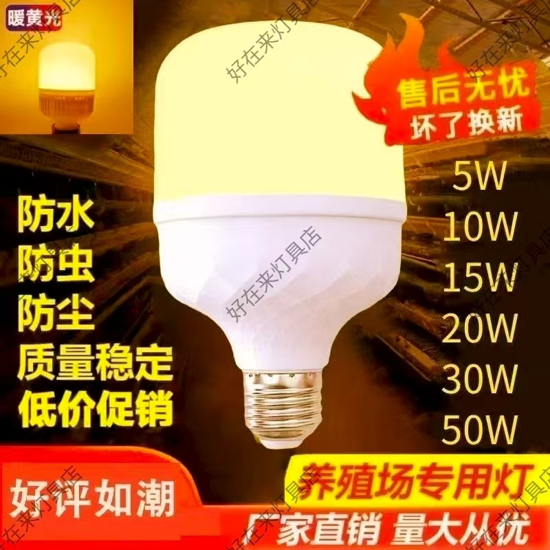 Breeding Warm Yellow Light Bulbs, Led Warm Yellow Light Bulbs for Laying Hens, Screw Base Yellow Light Bulbs, Warm Yellow Lights, Warm Color Lights, Warm Yellow Light Breeding Warm Yellow Light Bulbs, Led Warm Yellow Light Bulbs for Laying Hens, Screw Base Yellow Light Bulbs, Warm Yellow Lights, Warm Color Lights, Warm Yellow Light