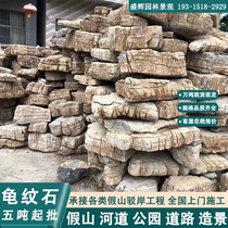 Tortoise stone natural raw stone rockery stone wholesale lawn decoration garden landscape stone courtyard fish pond revetment stone