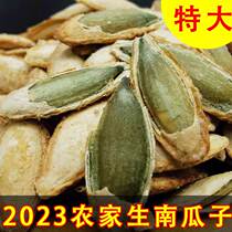 Extra Large Pumpkin Seeds Raw Pumpkin Seeds New Arrival Salt Baked Flavor Roasted Seeds Pumpkin Seeds Casual Pumpkin Seeds Official Flagship Store