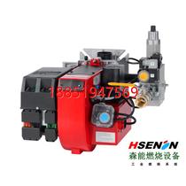 Bentone BG800 gas burner